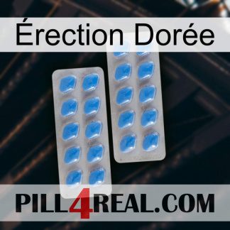 Érection Dorée 23